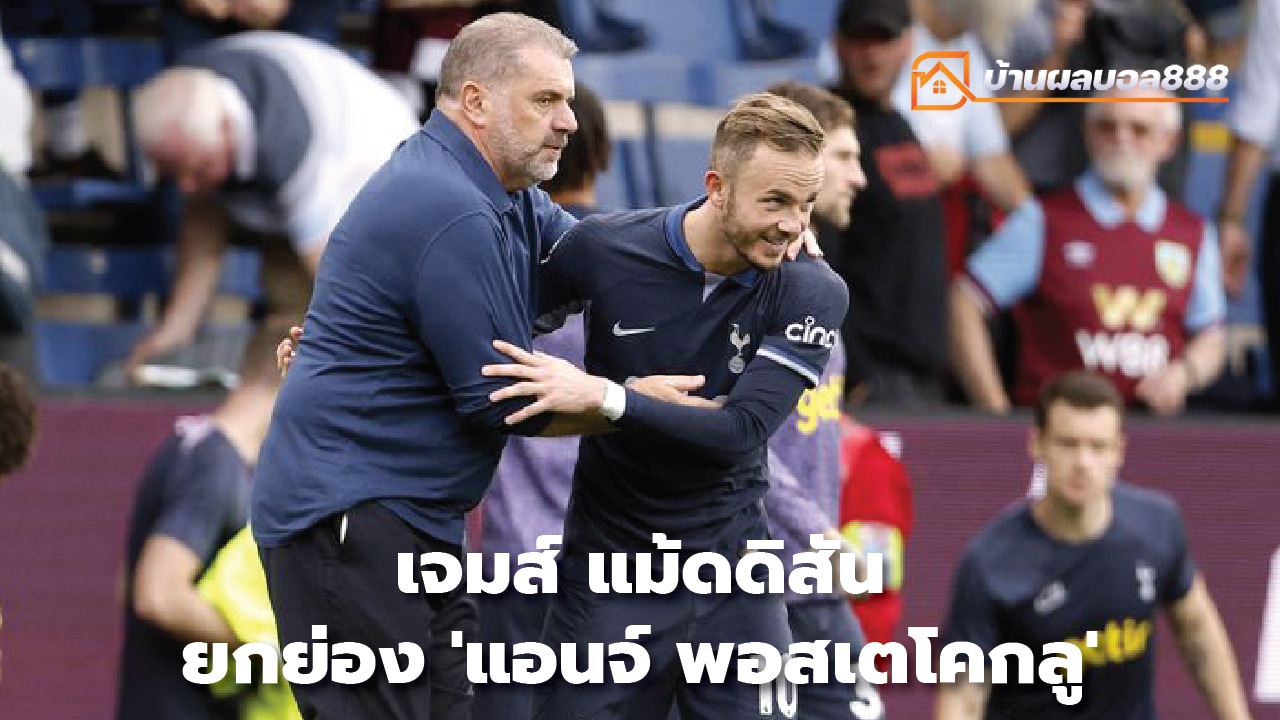 James Maddison praises 'Ange Postecoglou'